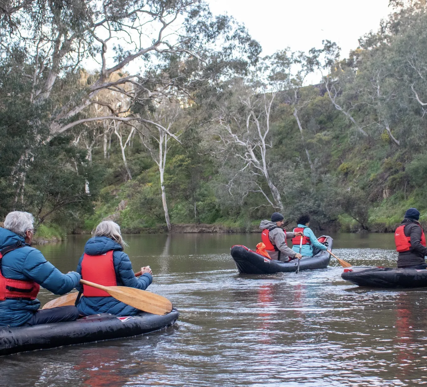 Guided canoes on a leafy stretch of the Yarra